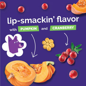 Fruitables - Pumpkin & Cranberry Crunchy Dog Treats