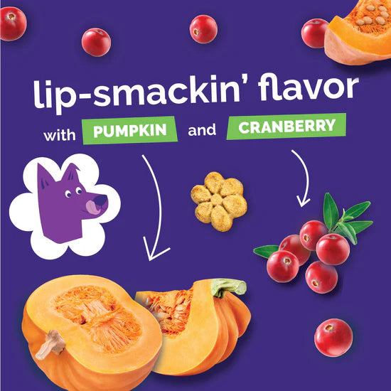 Fruitables - Pumpkin & Cranberry Crunchy Dog Treats