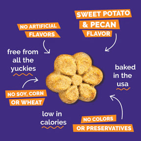 Fruitables - Sweet Potato & Pecan Crunchy Dog Treats
