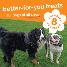 Fruitables - Sweet Potato & Pecan Crunchy Dog Treats