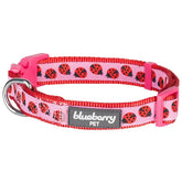 Lady Bug | Summer Vacation Dog Collar