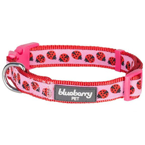 Lady Bug | Summer Vacation Dog Collar