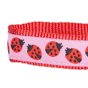 Lady Bug | Summer Vacation Dog Collar