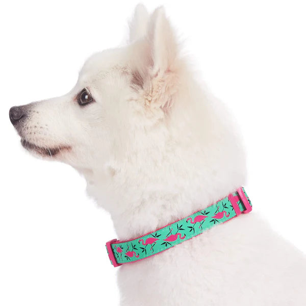 Pink Flamingo | Summer Vacation Dog Collar