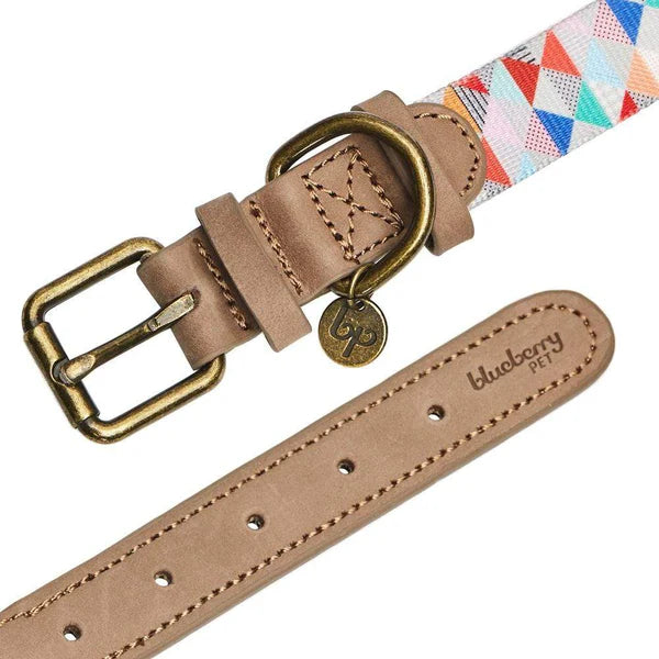 Triangles Shades of Rainbow | Full Grain Leather & Polyester Webbing Dog Collar