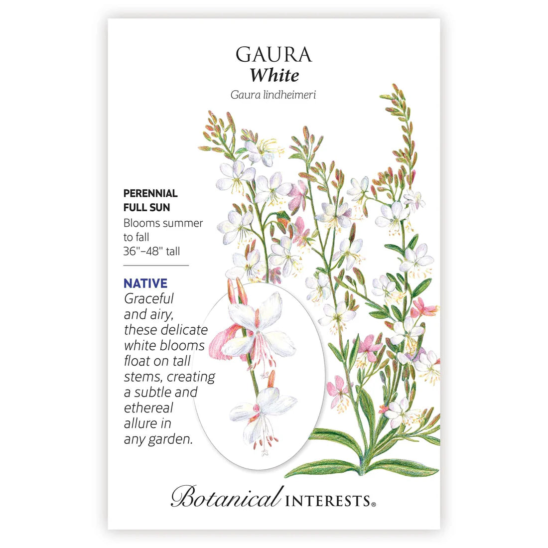 Botanical Interests, Inc. - Gaura White Seeds