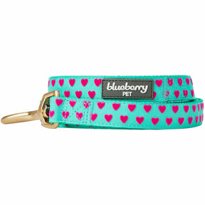 Minty Green | Dotted Velvet Heart Dog Leash