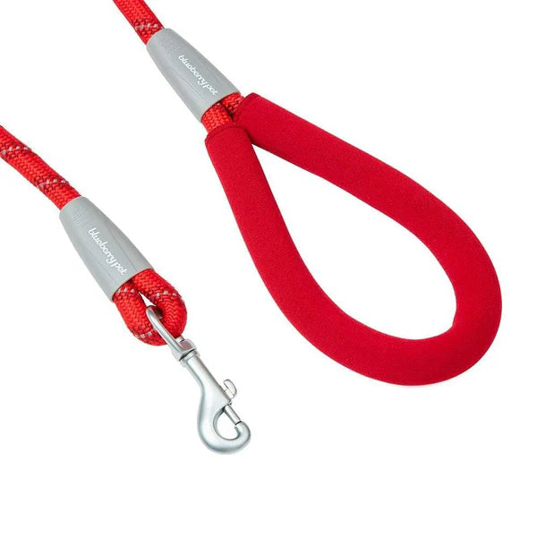 Neoprene Handle Rope Dog Leash in Diagonal Stripe