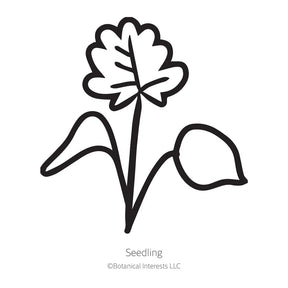 Botanical Interests, Inc. - Columbine Eastern Red Seeds - Southern Agriculture 
