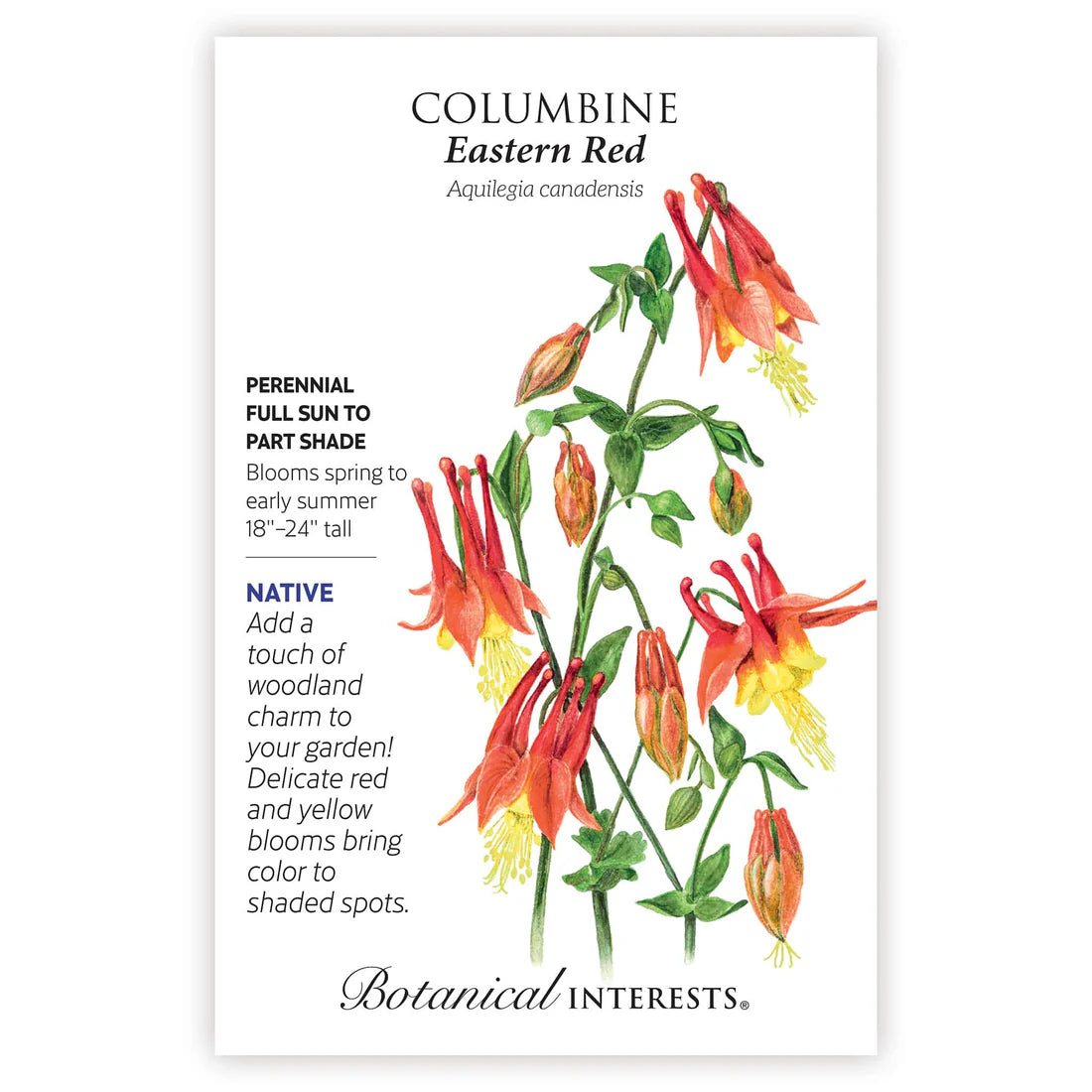 Botanical Interests, Inc. - Columbine Eastern Red Seeds