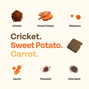Chippin - Chirpy Jerky	Cricket Sweet Potato Carrot