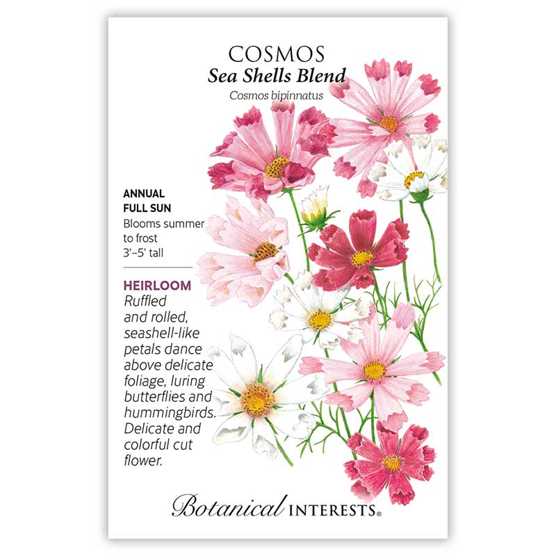 Botanical Interests, Inc. - Cosmos Seashell Blend Seeds - Southern Agriculture 