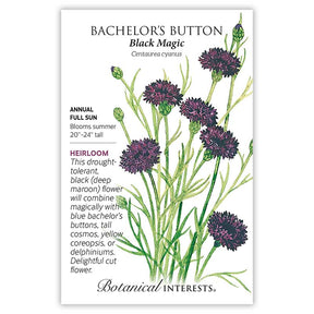 Black Magic Bachelor's Button Seeds