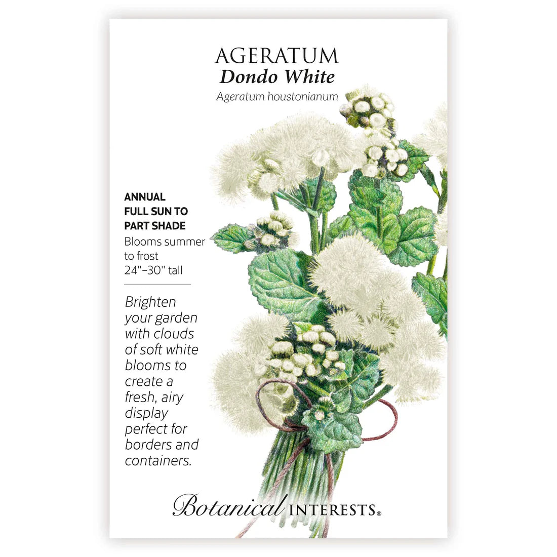 Botanical Interests, Inc. - Ageratum Dondo White Seeds