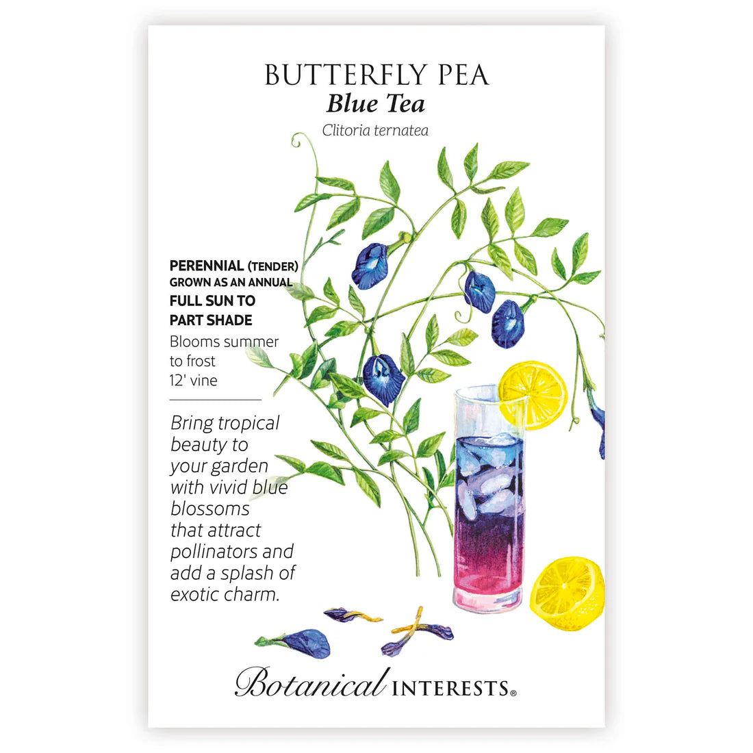 blue butterfly pea flower seeds Blue Tea Butterfly Pea Seeds