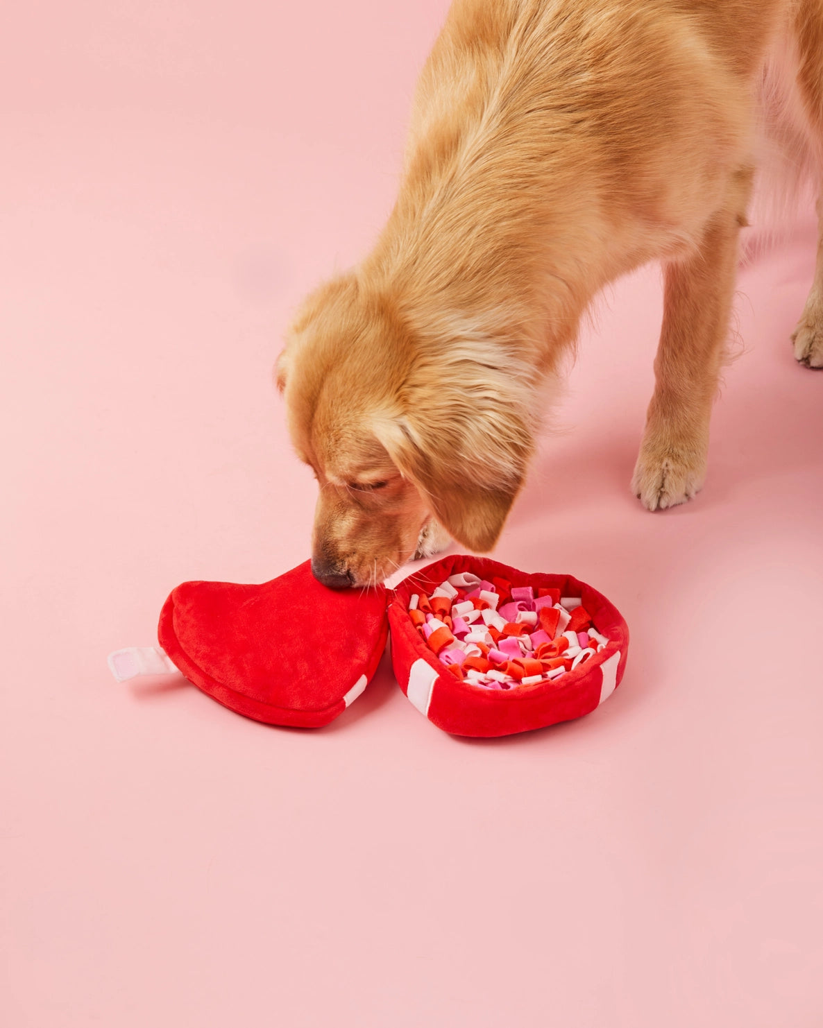 Dog Toy Be My Valentine Interactive Snuffle Heart Box