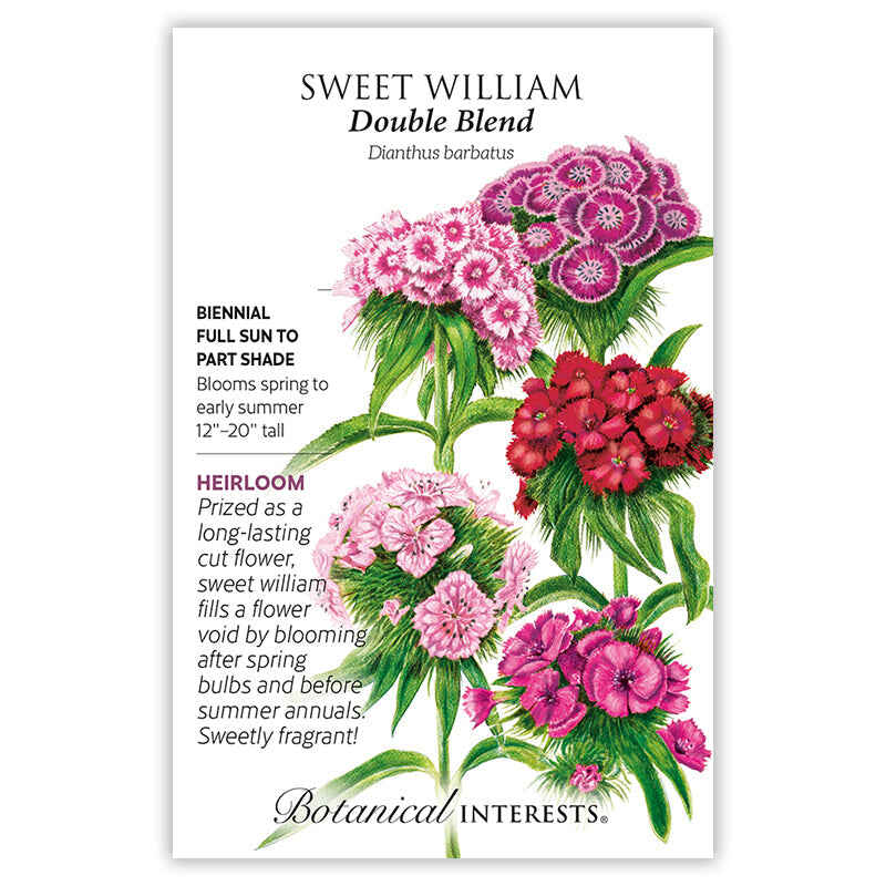 Double Blend Sweet William Seeds