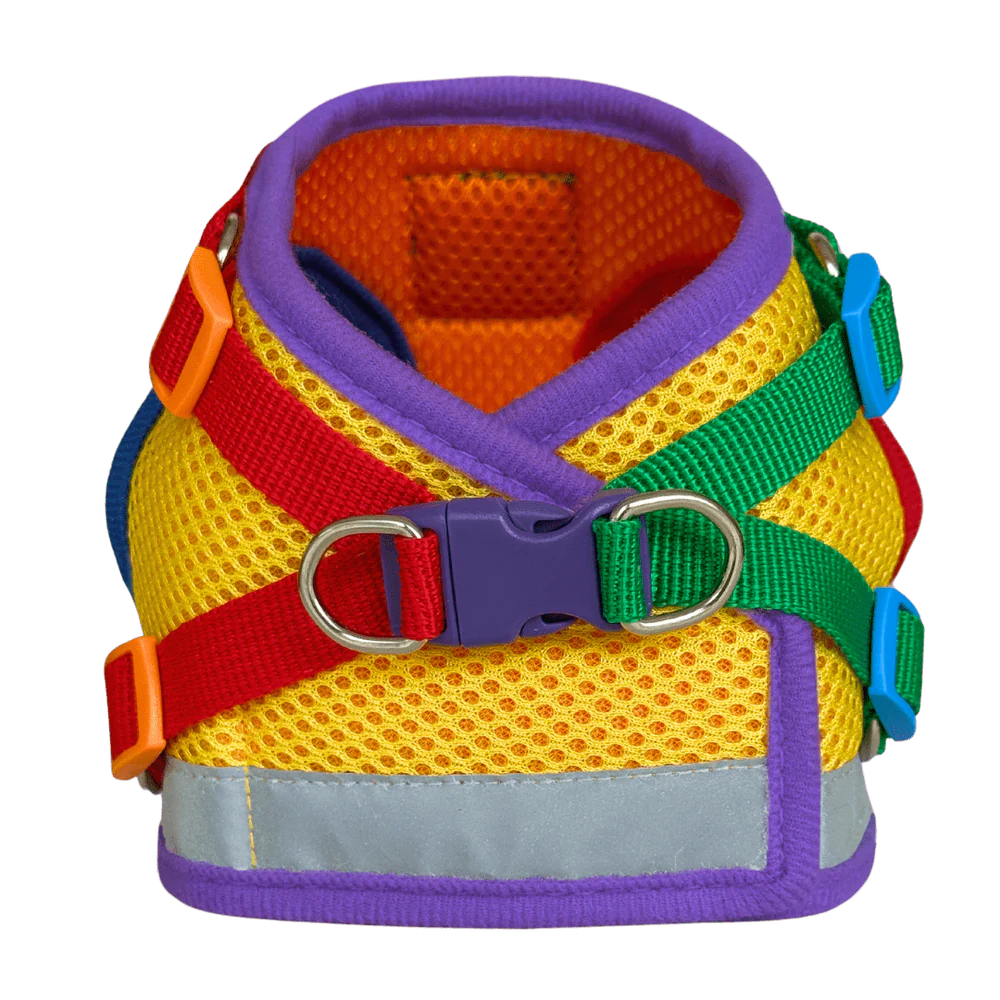 Harness & Leash Set - "The Rainbow"