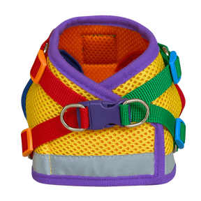 Harness & Leash Set - "The Rainbow"