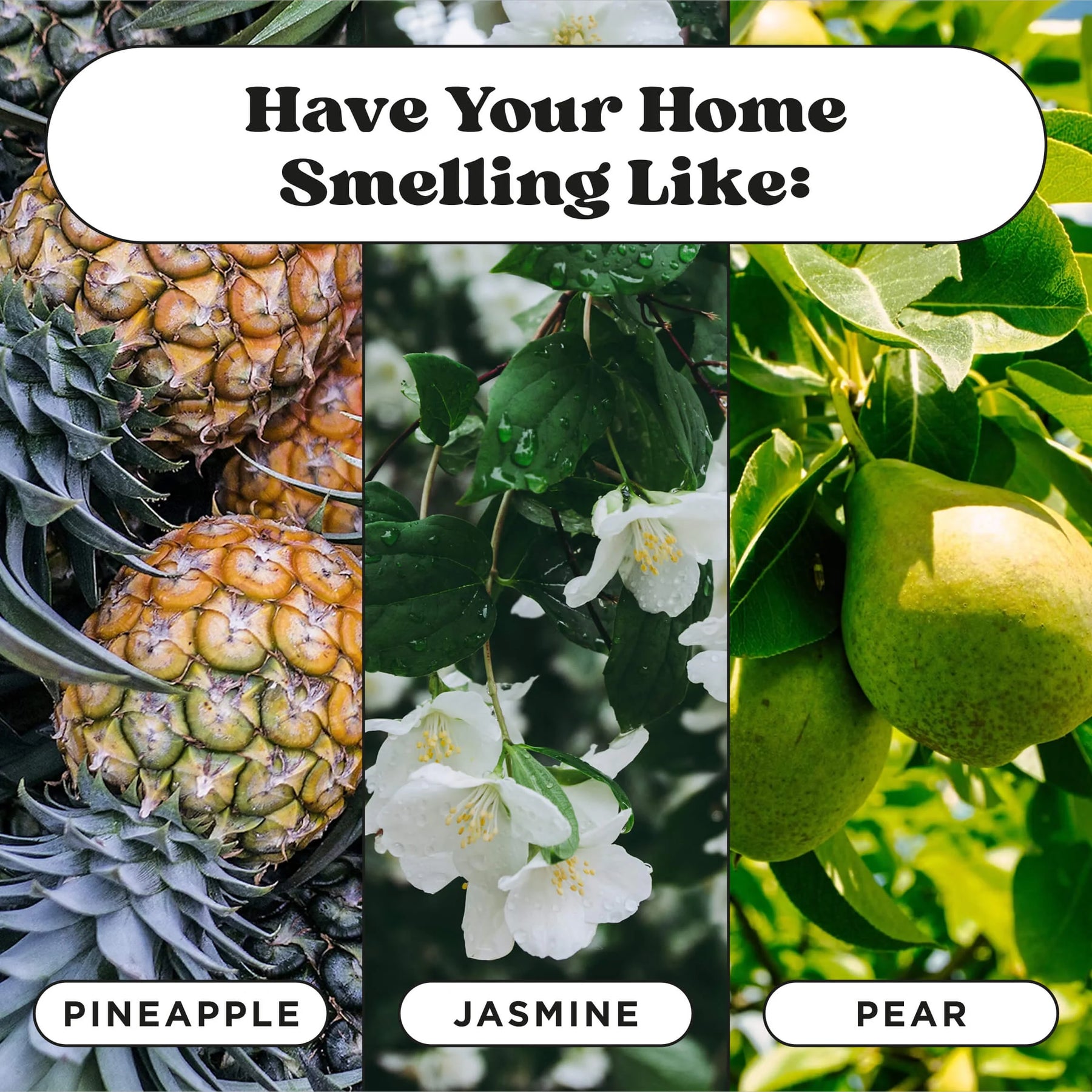 Pet-Pourri Pawsitively Fresh Air + Fabric Odor Refresher