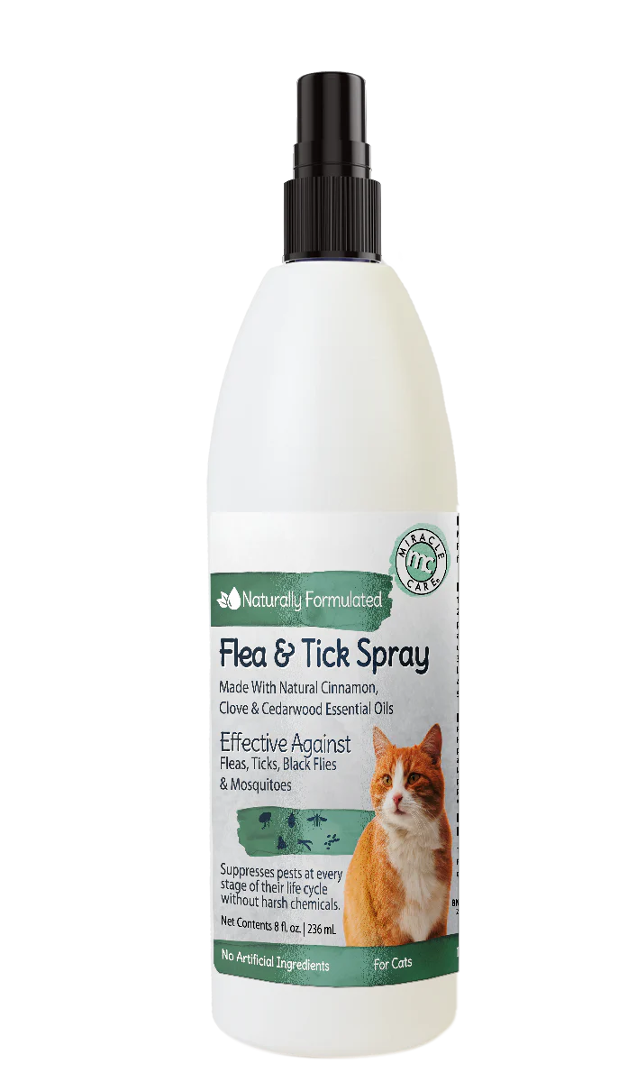 Natural Flea Spray for Cats