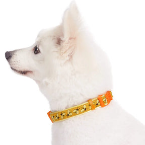 Bumble Bee | Summer Vacation Dog Collar