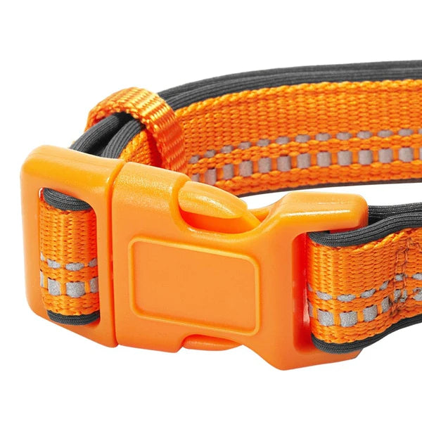 Orange Peel | 3M Reflective Neoprene Padded Dog Collar