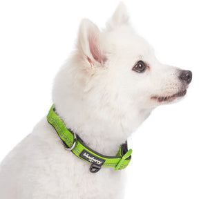 Green Flash | 3M Reflective Neoprene Padded Dog Collar