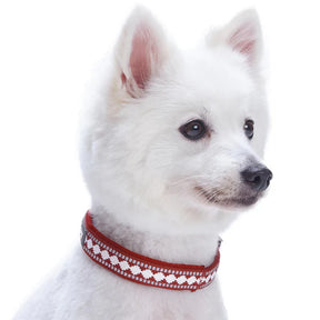 Blueberry Pet - Blueberry Pet - Dog Collar Soft 3M Reflective