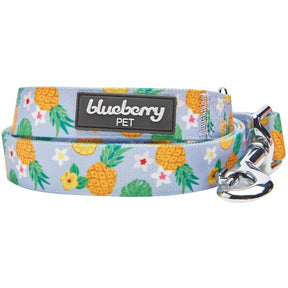 Nutritious Pineapple | Zesty Fruit Dog Leash