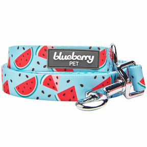 Slices of Watermelon | Zesty Fruit Dog Leash