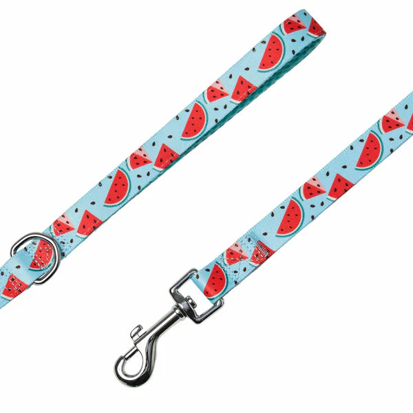 Slices of Watermelon | Zesty Fruit Dog Leash