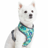 Bahamas Vacation Dog Harness Vest