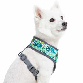 Bahamas Vacation Dog Harness Vest