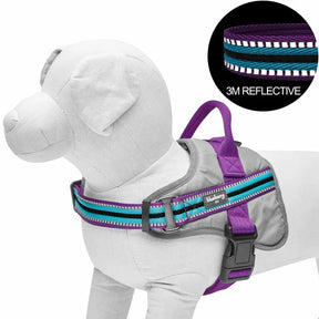 Violet and Celeste | Service K-9, 3M Reflective Dog Harness