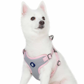 Candy Pink | Better Basics Reflective Dog Harness Vest