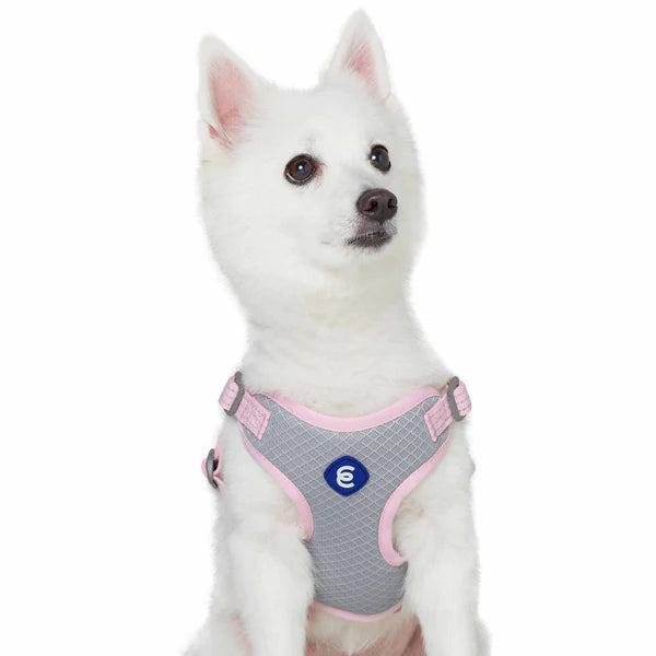 Candy Pink | Better Basics Reflective Dog Harness Vest