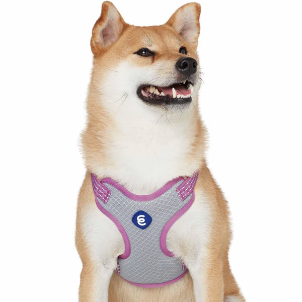 Mauve Orchid | Better Basics Reflective Dog Harness Vest