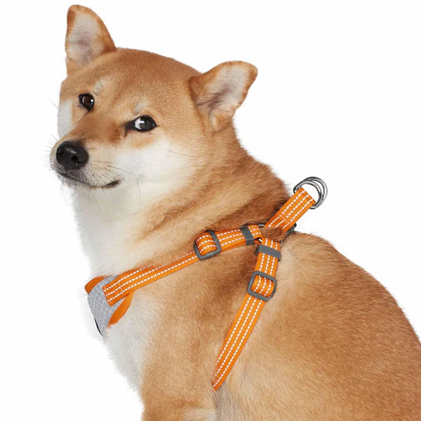 Apricot | Better Basics Reflective Dog Harness Vest