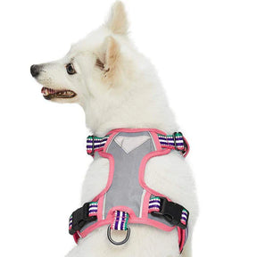 Pink, Emerald and Orchid | No Pull 3M Reflective Dog Harness Vest with Handle