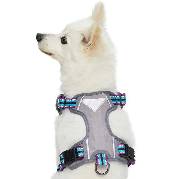 Violet and Celeste | No Pull 3M Reflective Dog Harness Vest with Handle