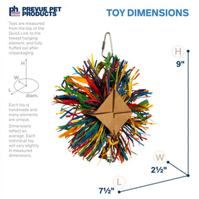 Prevue Hendryx - Raffia Rainbow Cage Bird Toy