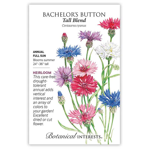 Bachelor Button Tall Blend Seeds