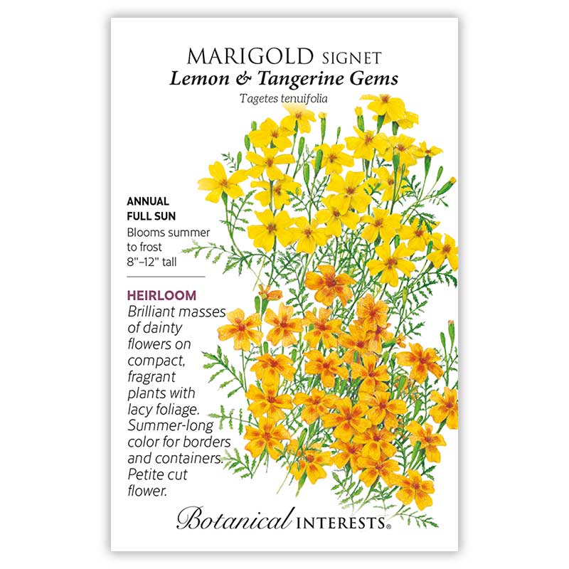 Botanical Interests, Inc. - Marigold Signet Gem Lemon & Tangerine Seeds