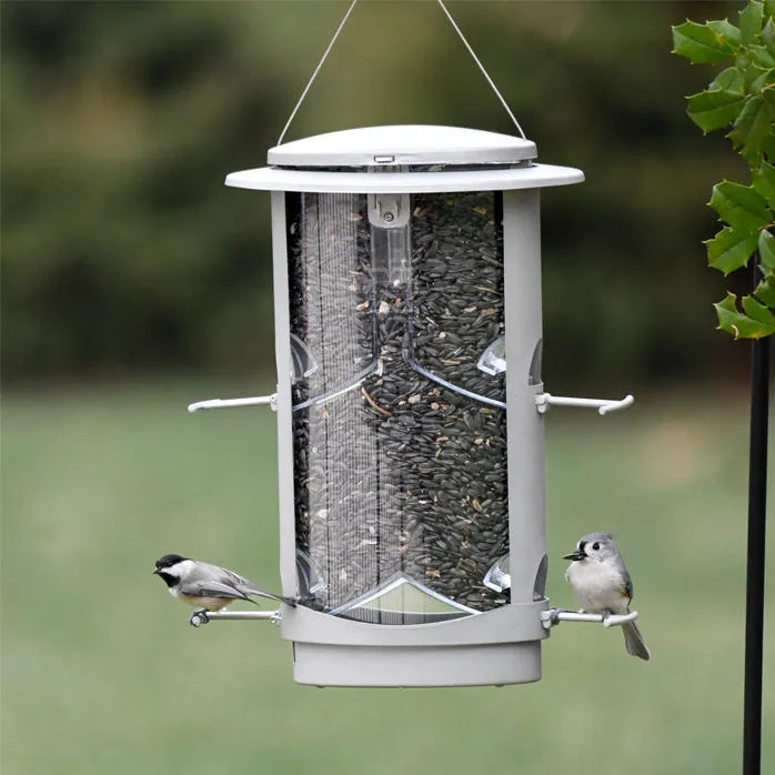 More Birds - Bird Feeder Squirrel X-1