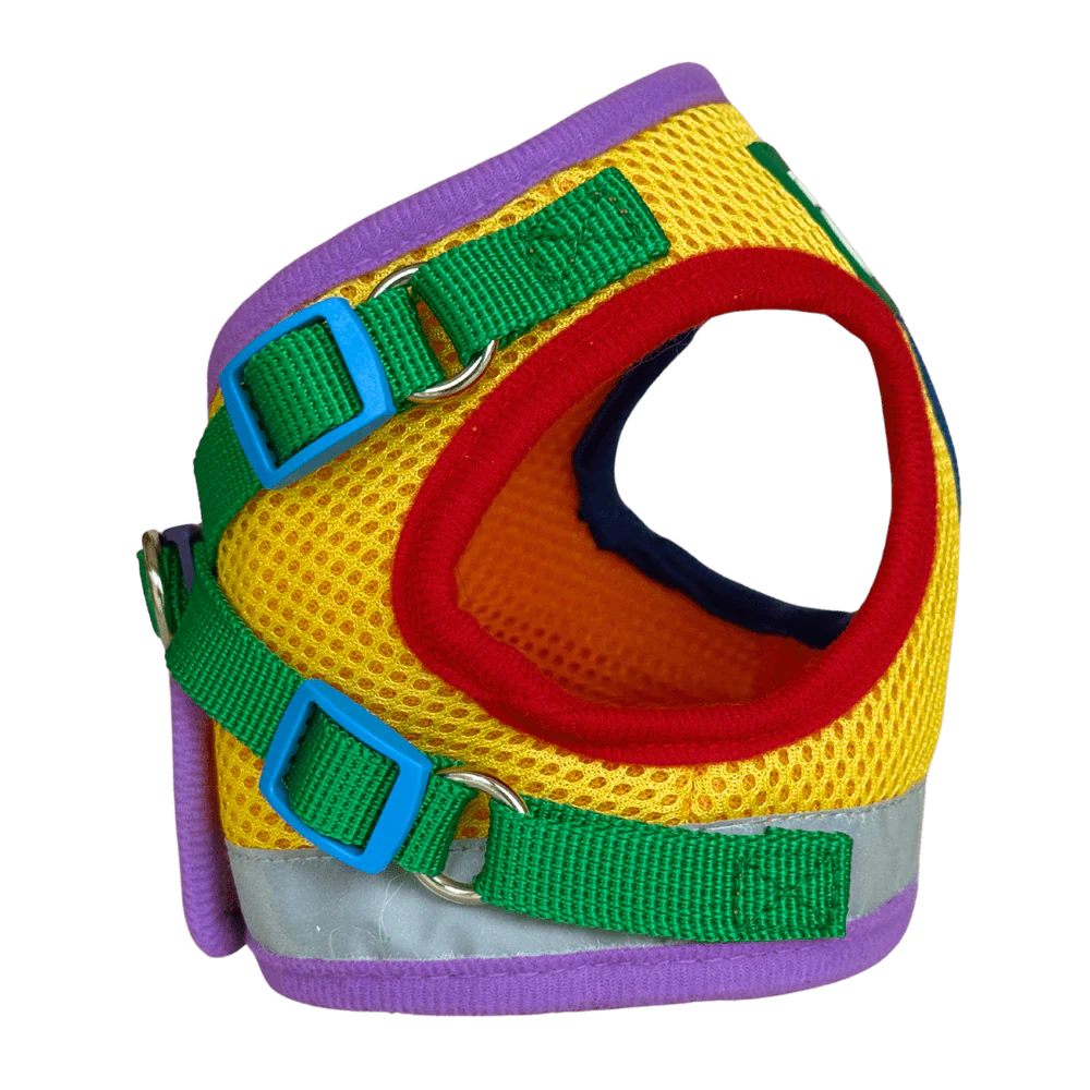 Harness & Leash Set - "The Rainbow"