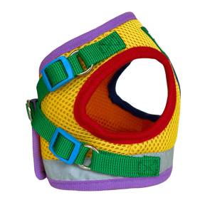 Harness & Leash Set - "The Rainbow"