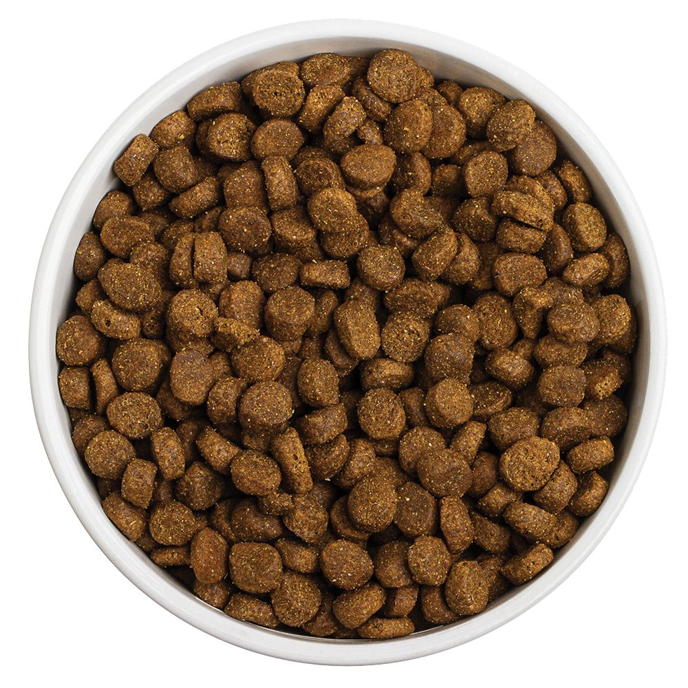 RedBarn - Grain Free Puppy Dog Food Dry