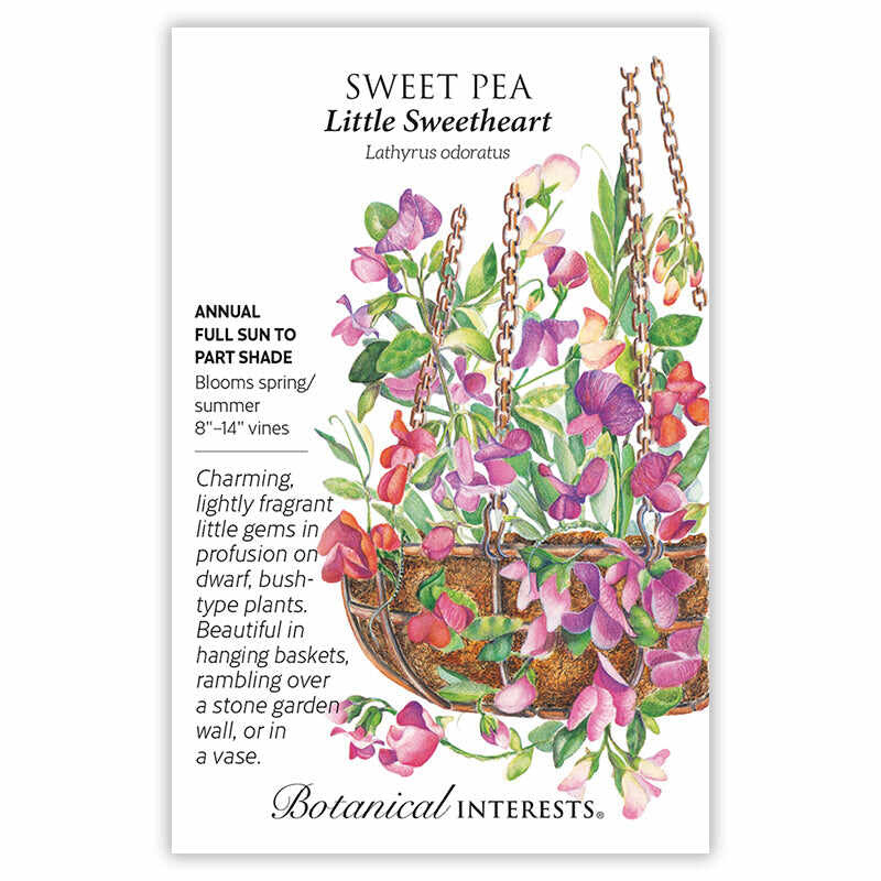 Botanical Interests, Inc. - Sweet Pea Little Sweetheart Seeds
