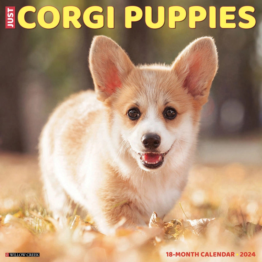2024 Corgi Puppies Calendar
